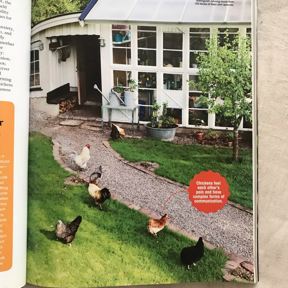 FREE The Ultimate Guide to the Animal Mind - Picture 5 of 10